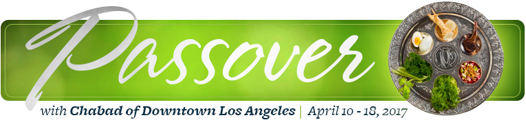 Passover with Chabad